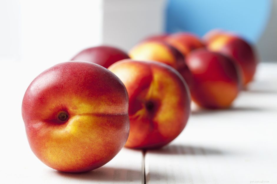 Are Nectarines Safe for Dogs? A Guide to Feeding Fruit Responsibly