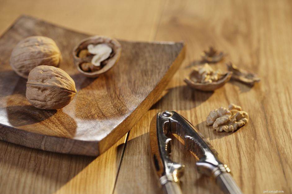 Are Walnuts Safe for Dogs? Risks and Alternatives