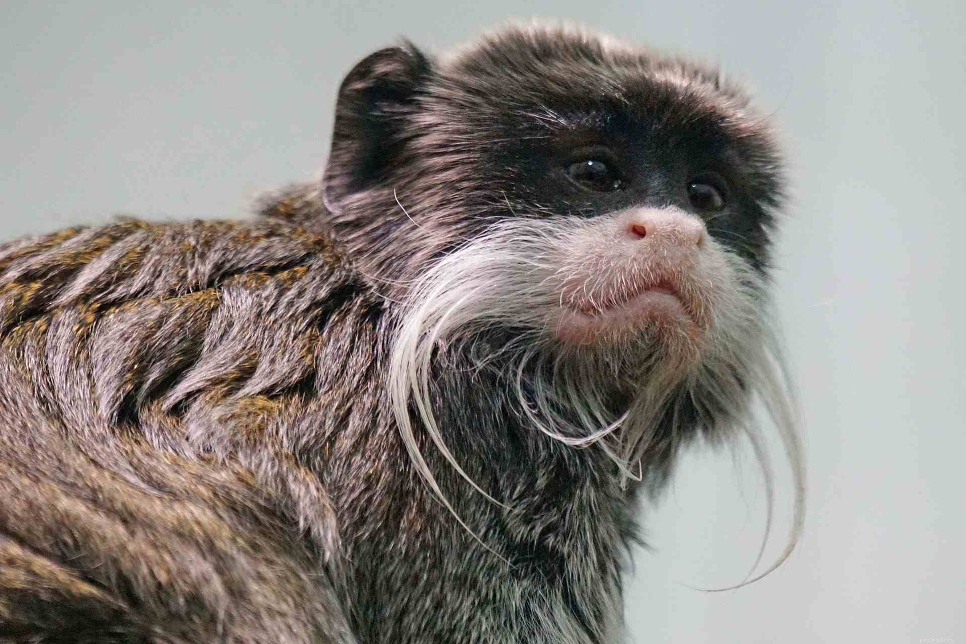 12 Creepy Creatures That Surprisingly Exude Adorable Charm