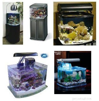 Essential Starter Guide for a Home Saltwater Aquarium