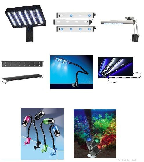 Essential Starter Guide for a Home Saltwater Aquarium