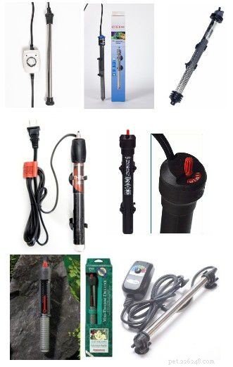Essential Starter Guide for a Home Saltwater Aquarium
