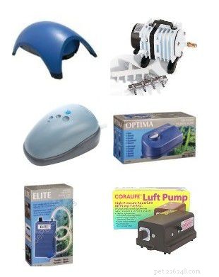 Essential Starter Guide for a Home Saltwater Aquarium