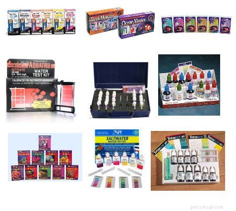 Essential Starter Guide for a Home Saltwater Aquarium