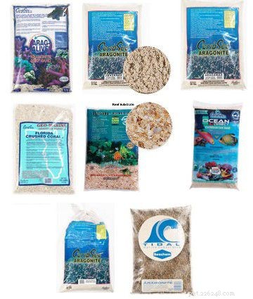Essential Starter Guide for a Home Saltwater Aquarium