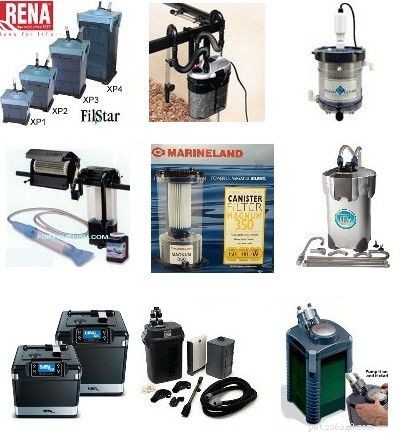 Essential Starter Guide for a Home Saltwater Aquarium
