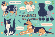 60 Timeless Scottish Dog Names: From Gaelic Roots to Classic Breeds