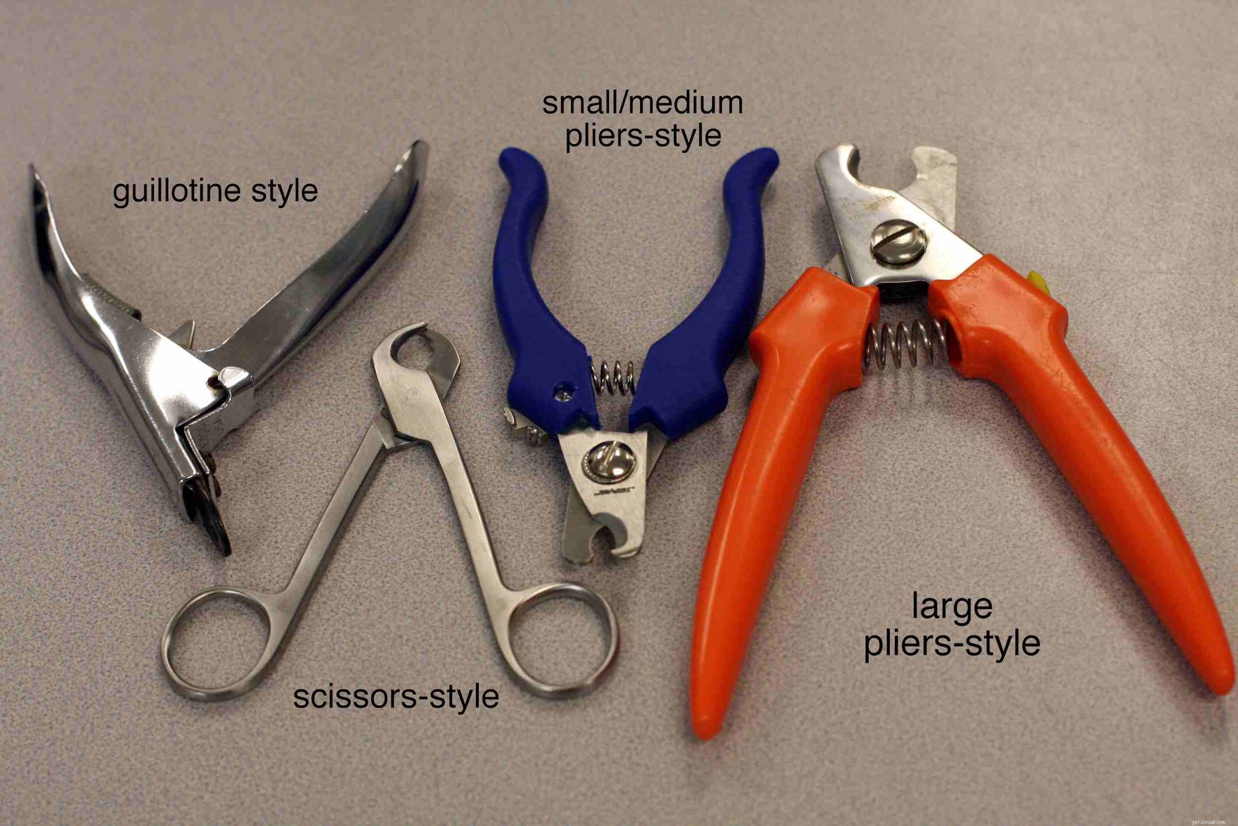 Professional Guide to Safely Trimming Your Dog’s Nails