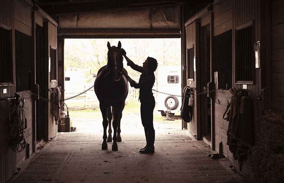 Master Horse Grooming: Build Bond & Care for Coat, Hooves & Health
