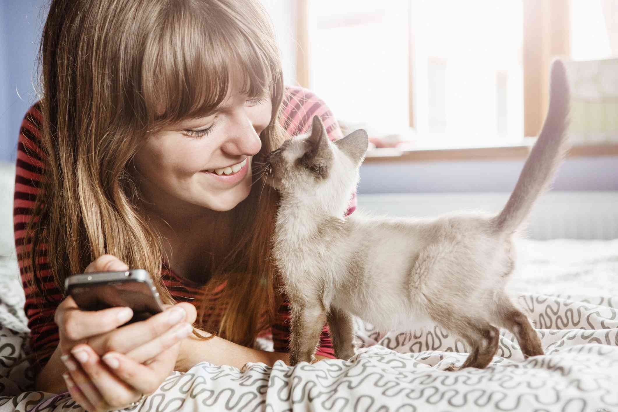 10 Common Cat Quirks Explained: Why Your Feline Acts So Weird