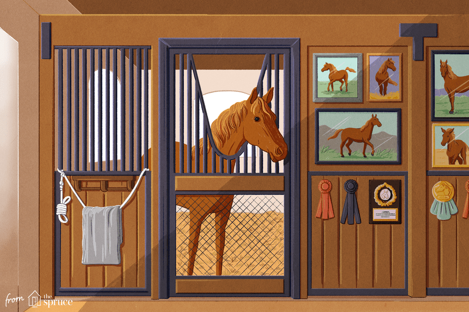Horse Lifespan Explained: How Long Horses Live and What Influences Their Age