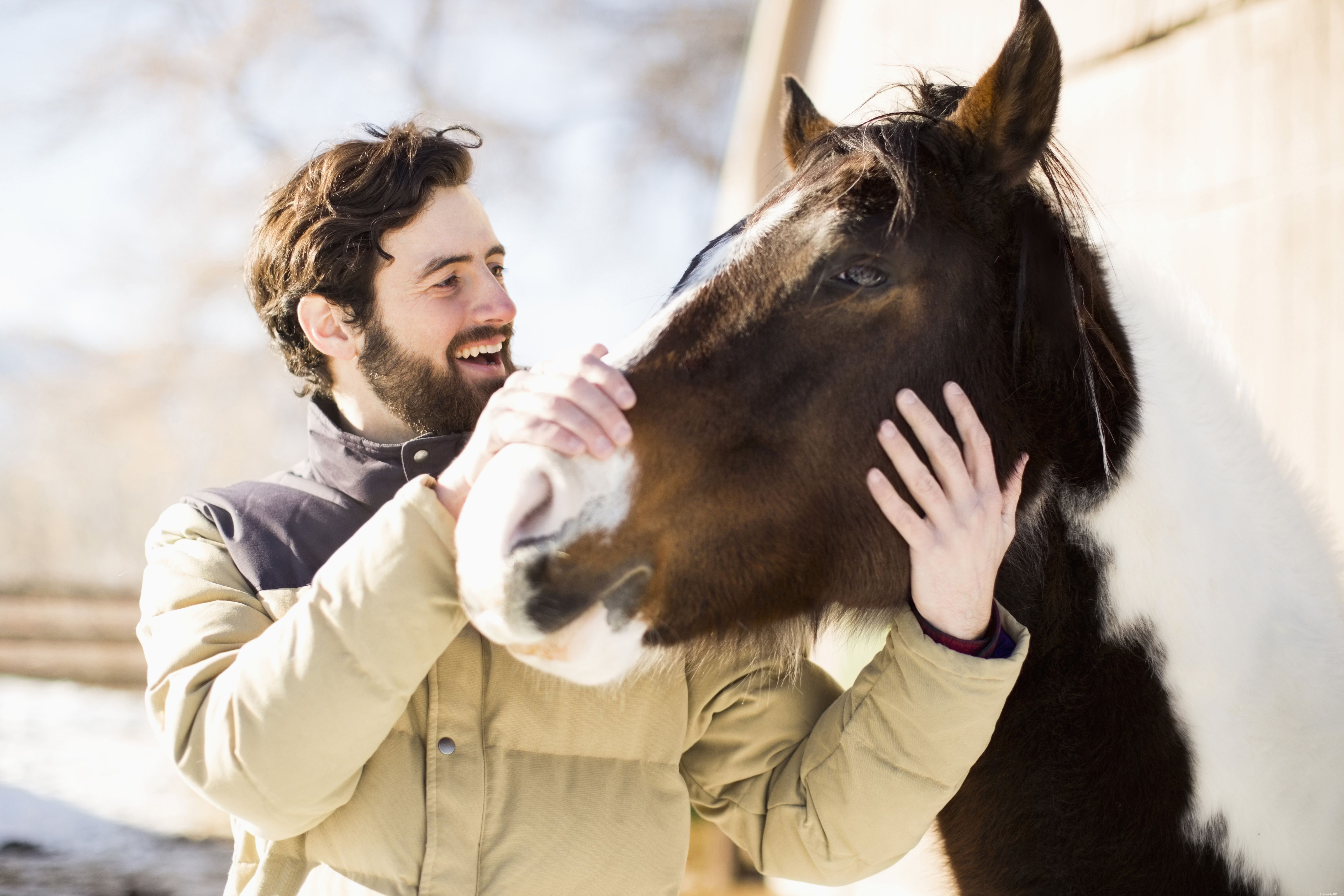 Top Mistakes New Buyers Make When Purchasing Their First Horse