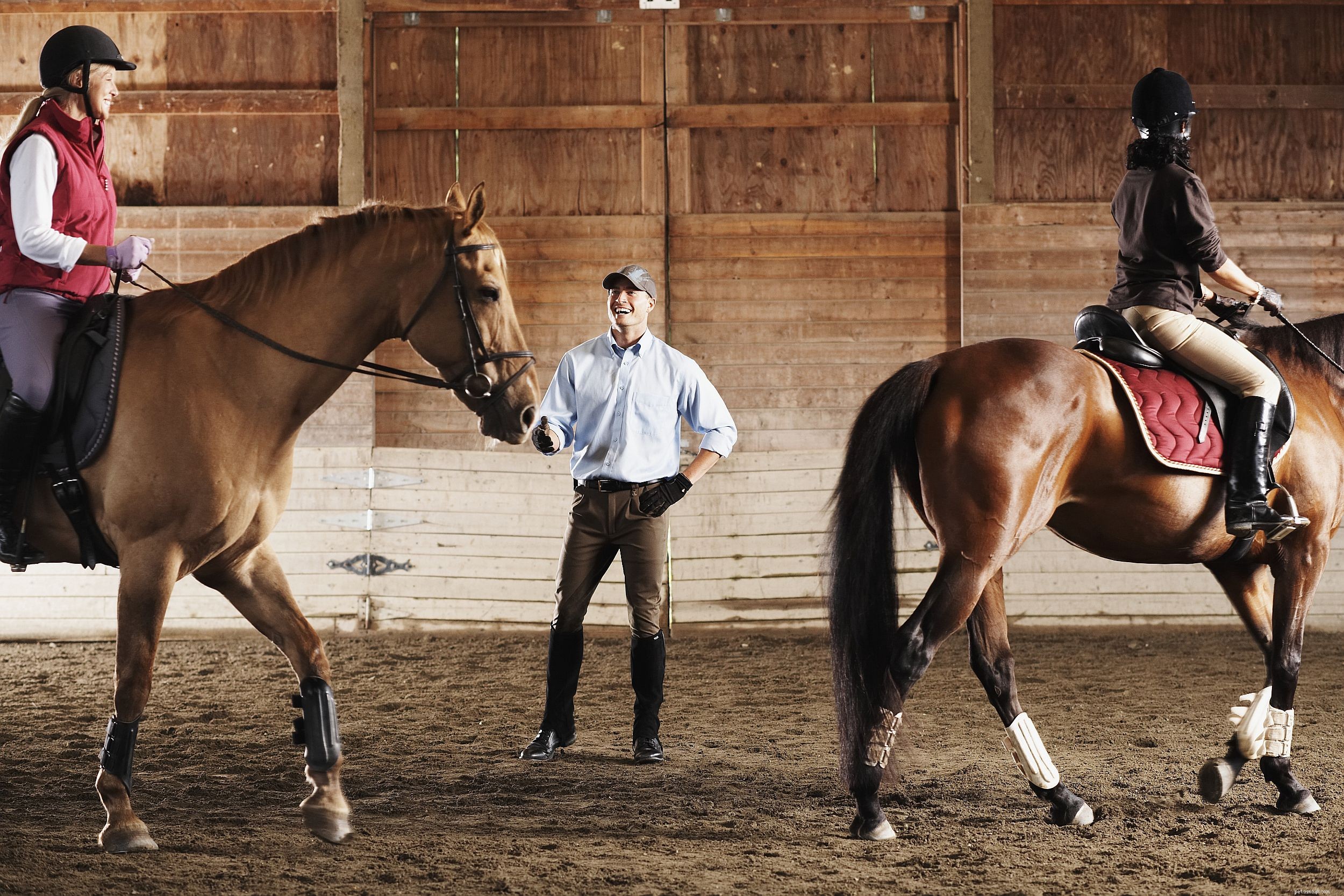 Top Mistakes New Buyers Make When Purchasing Their First Horse