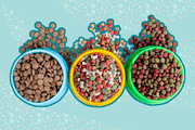 Stop Your Puppy From Poop‑Eating: Proven Training Tips