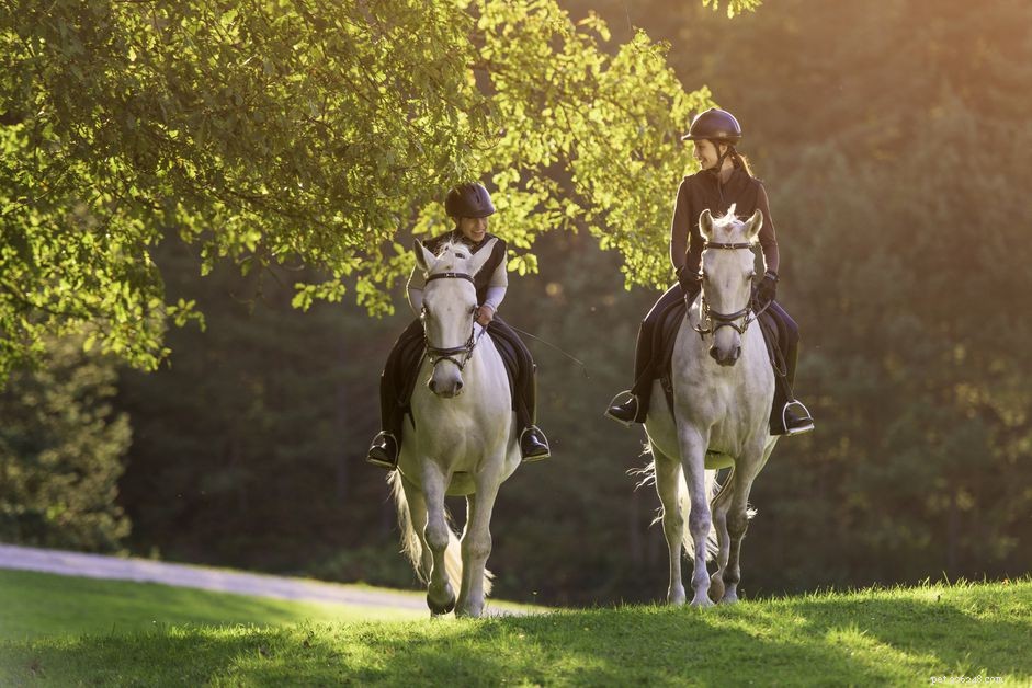 10 Rookie Mistakes First-Time Horse Riders Must Avoid