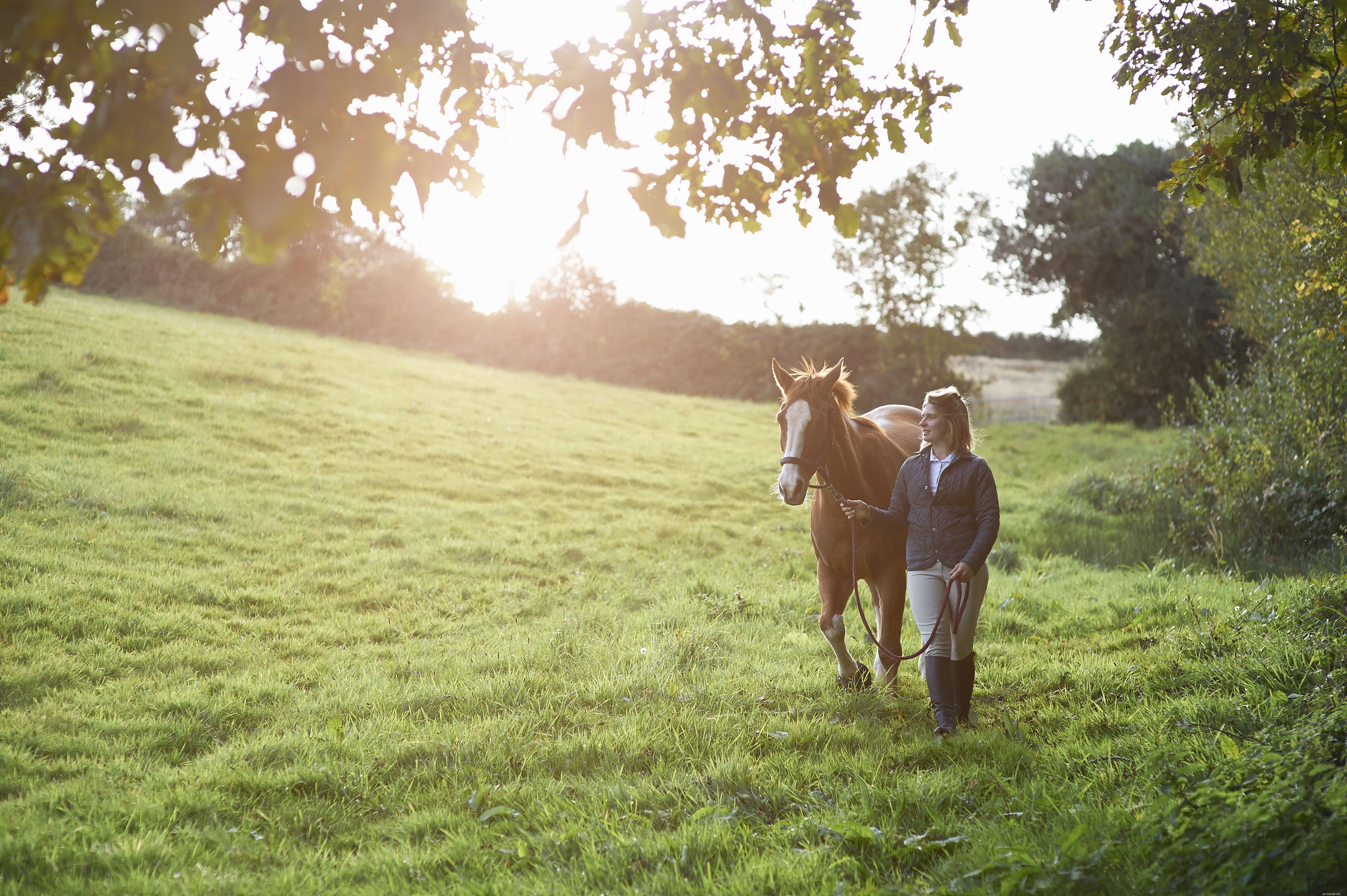10 Rookie Mistakes First-Time Horse Riders Must Avoid