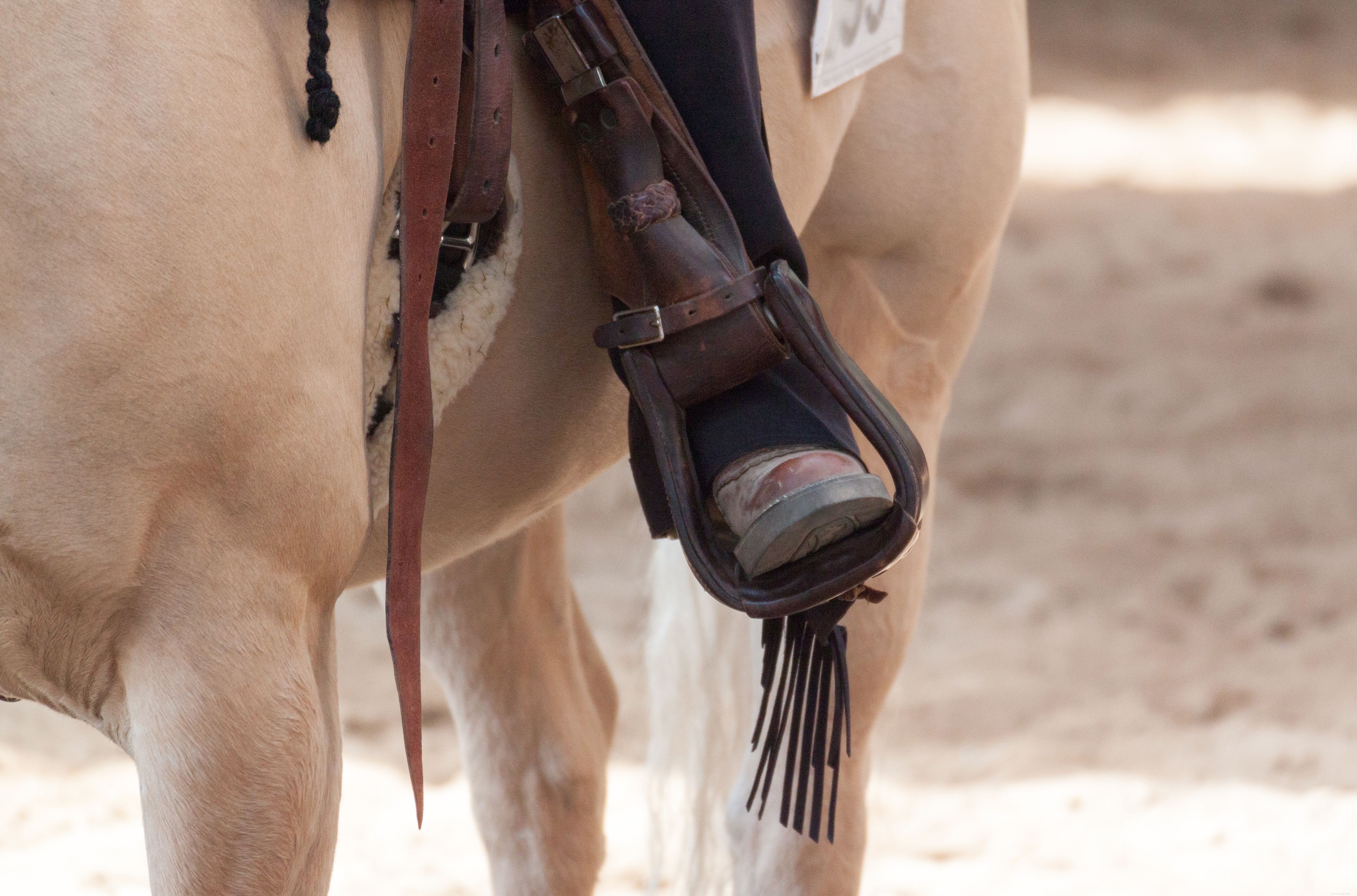 10 Rookie Mistakes First-Time Horse Riders Must Avoid