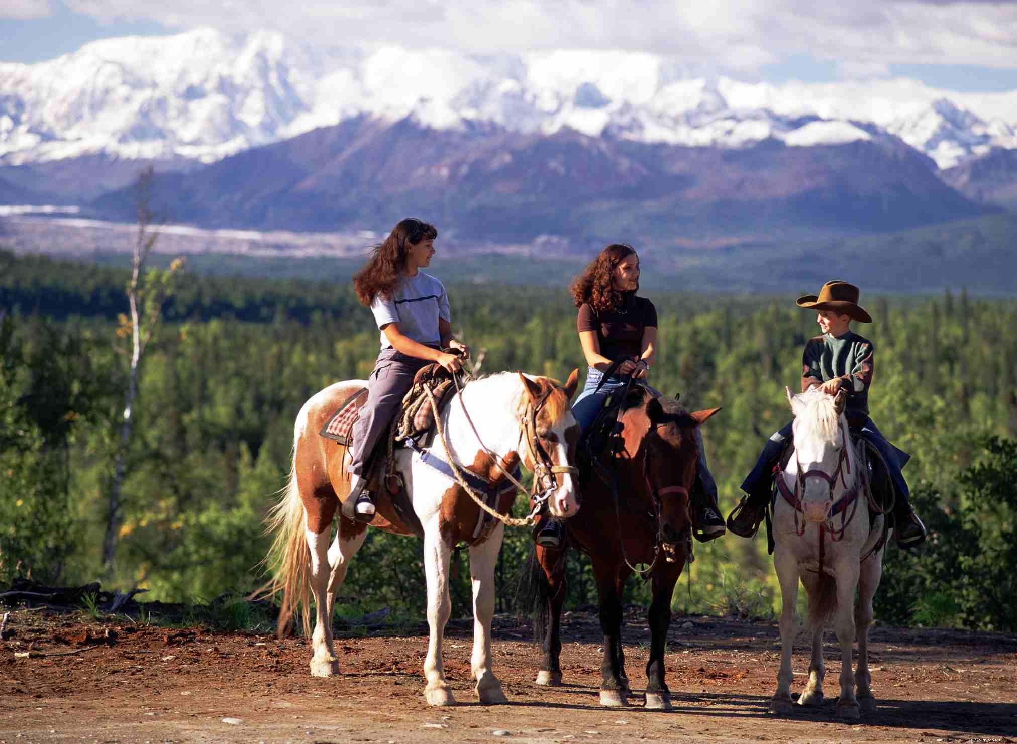 10 Rookie Mistakes First-Time Horse Riders Must Avoid