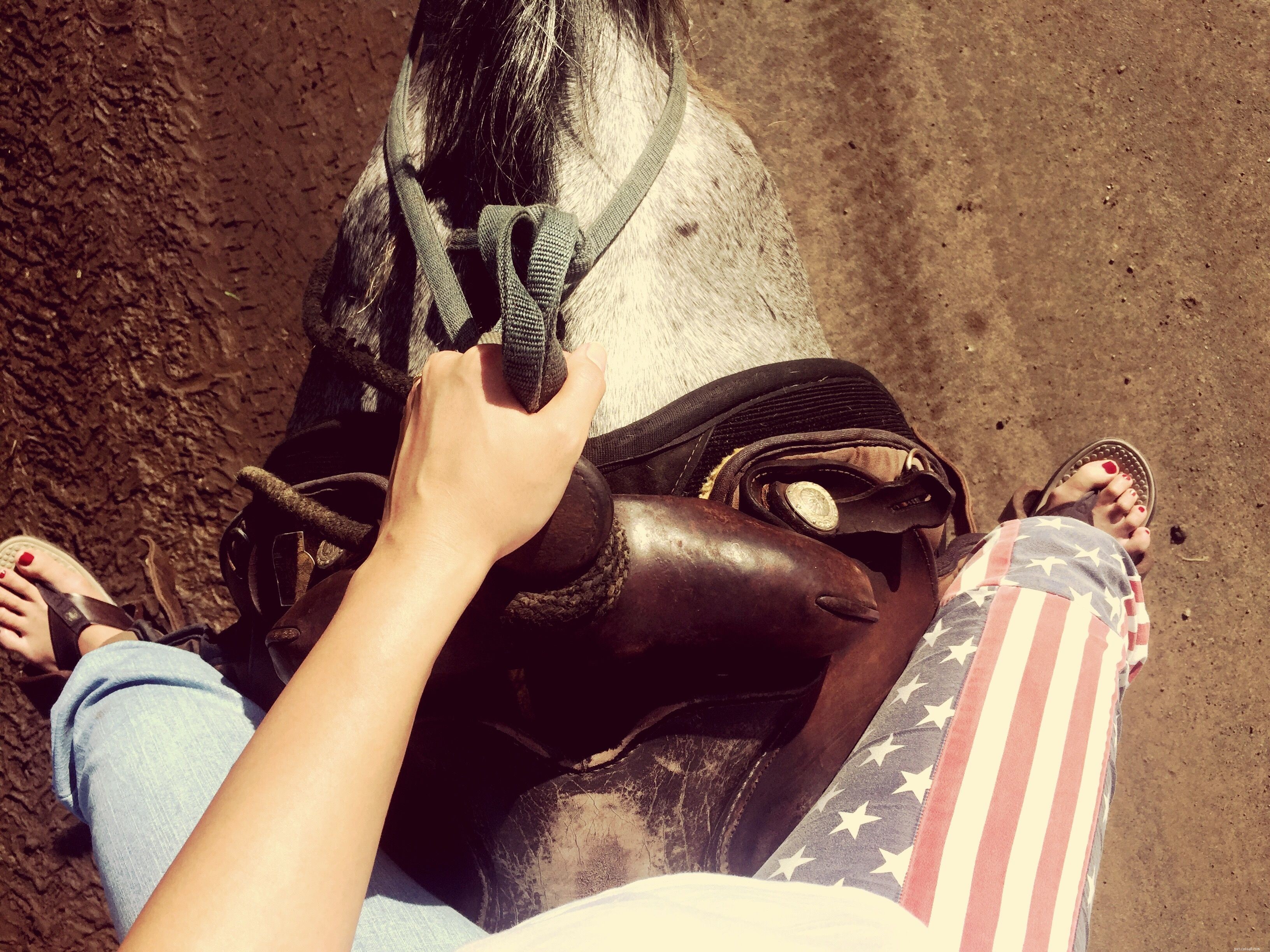 10 Rookie Mistakes First-Time Horse Riders Must Avoid