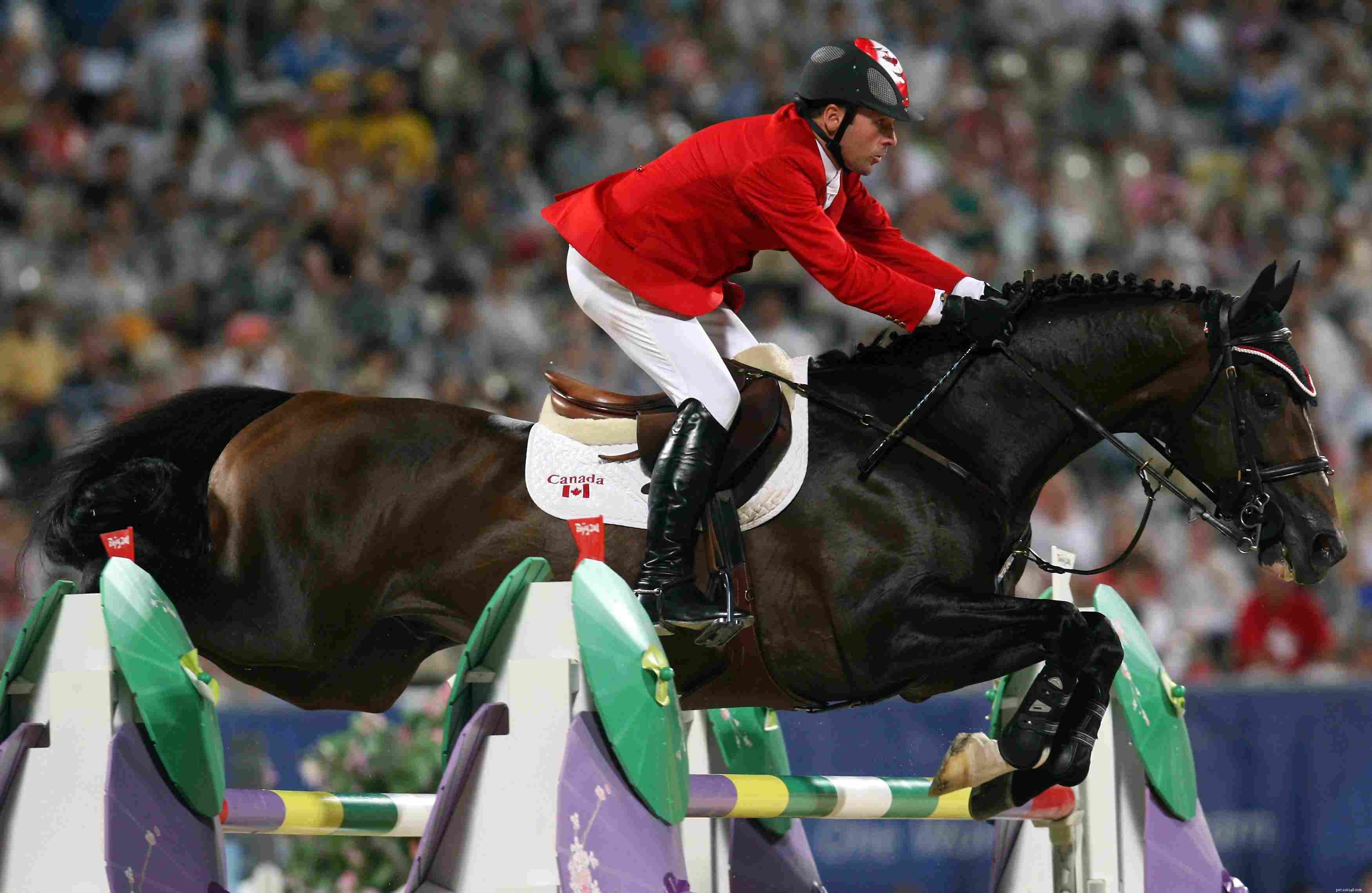 Understanding Sudden Equine Death: Common Causes & Prevention
