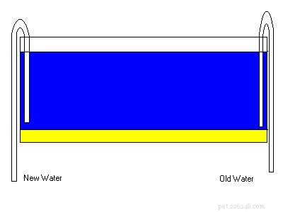 Fast, Effective Strategies to Lower Nitrate Levels in Your Fish Tank