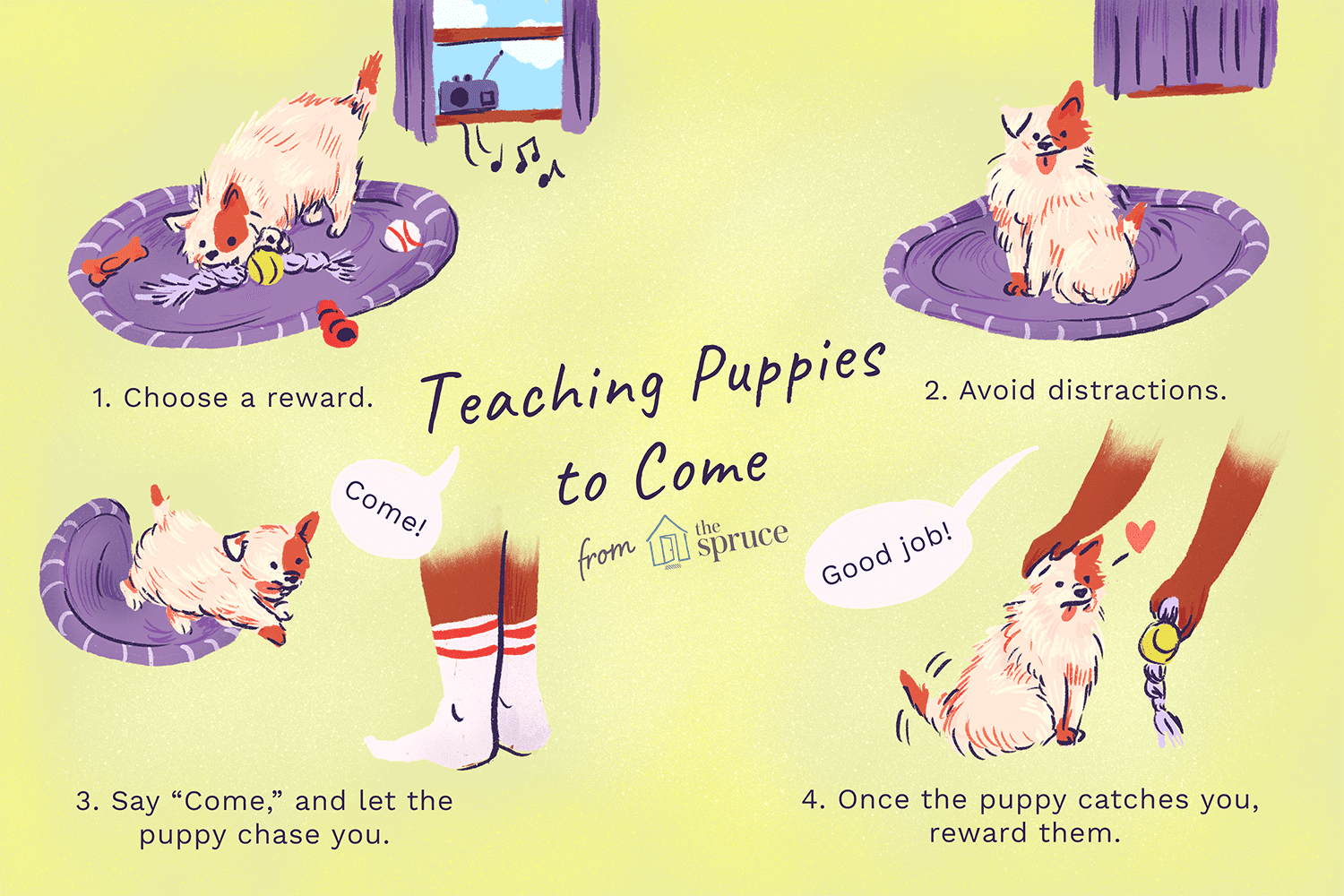Teach Your Puppy to Respond Quickly: A Step‑by‑Step Guide to Reliable Recall