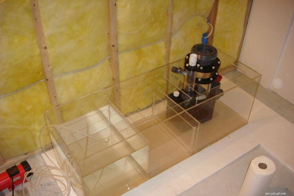 Build a Budget‑Friendly DIY Aquarium Sump in Minutes