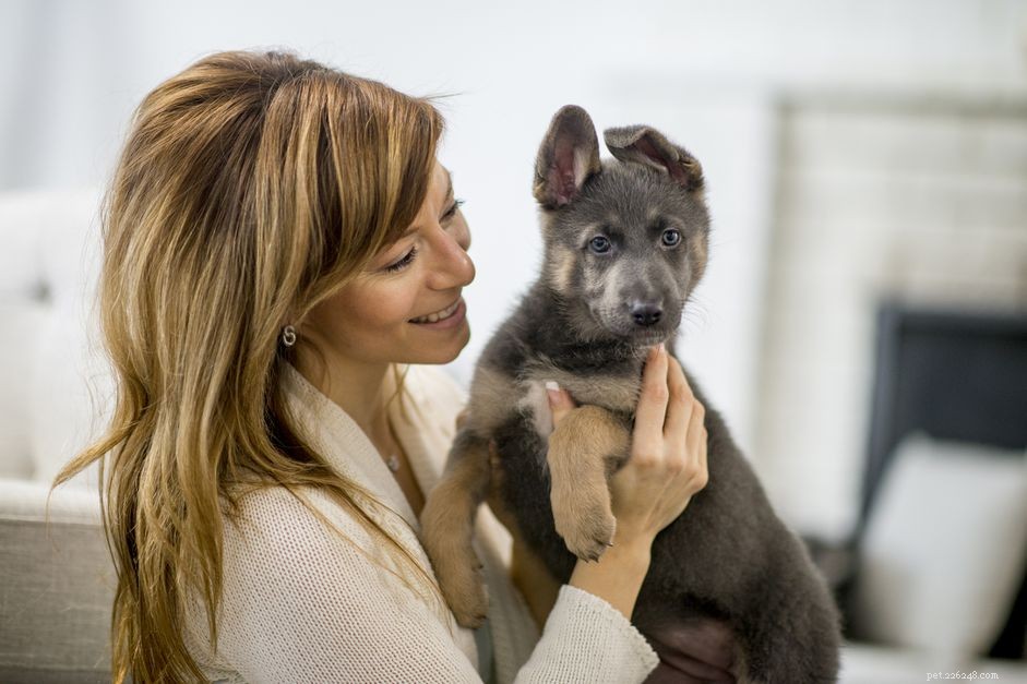 Puppy Proofing Your Home: A Step-by-Step Safety Guide