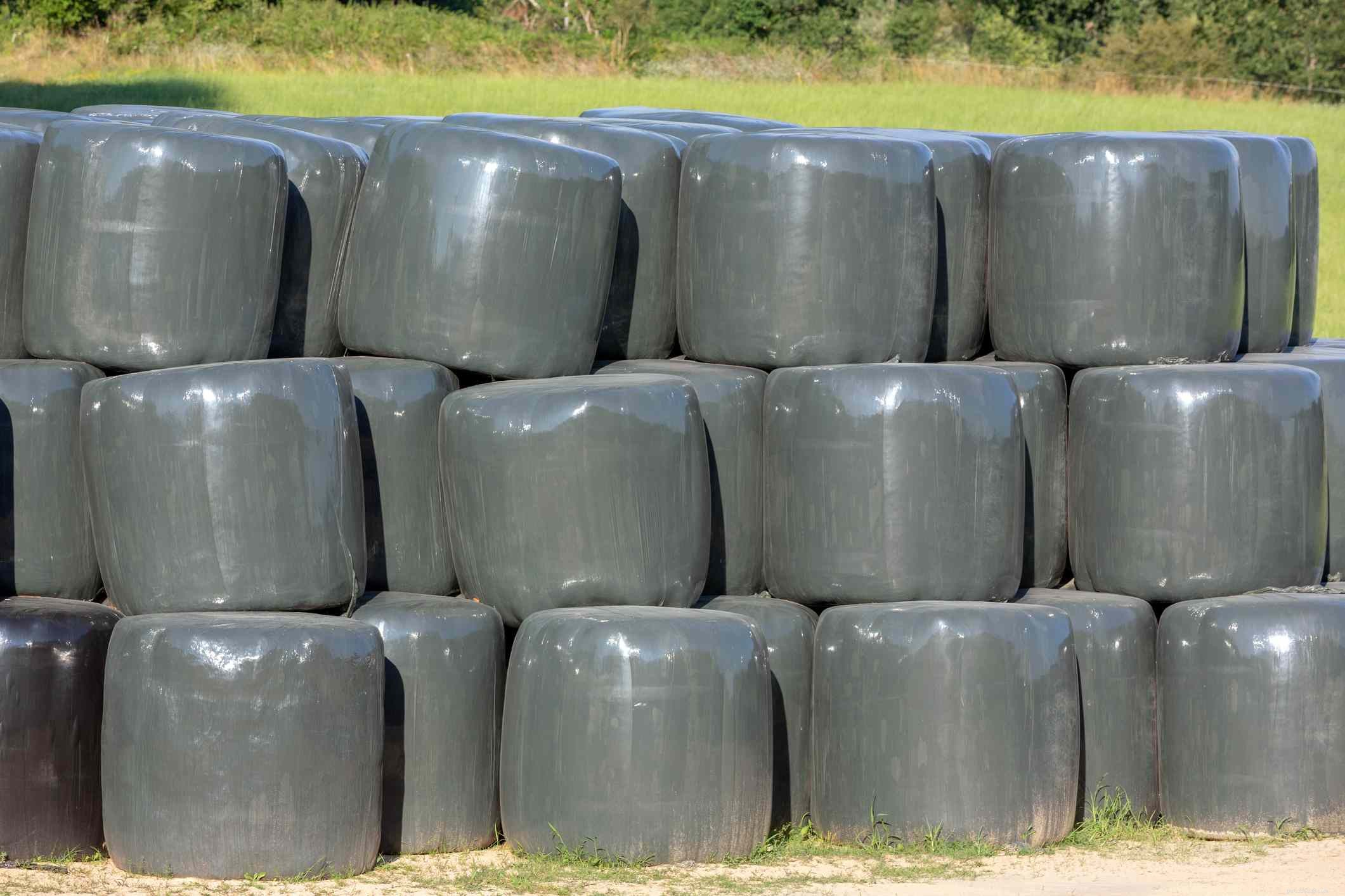 Top Hay Alternatives for Horses: Maintain Health During Shortages