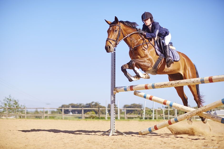 Mastering Horseback Jumping: Safe Techniques for Riders of All Levels