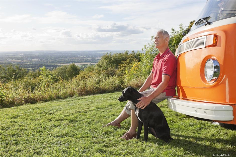 Master the Recall: Proven Steps to Train Your Dog to Return When Called