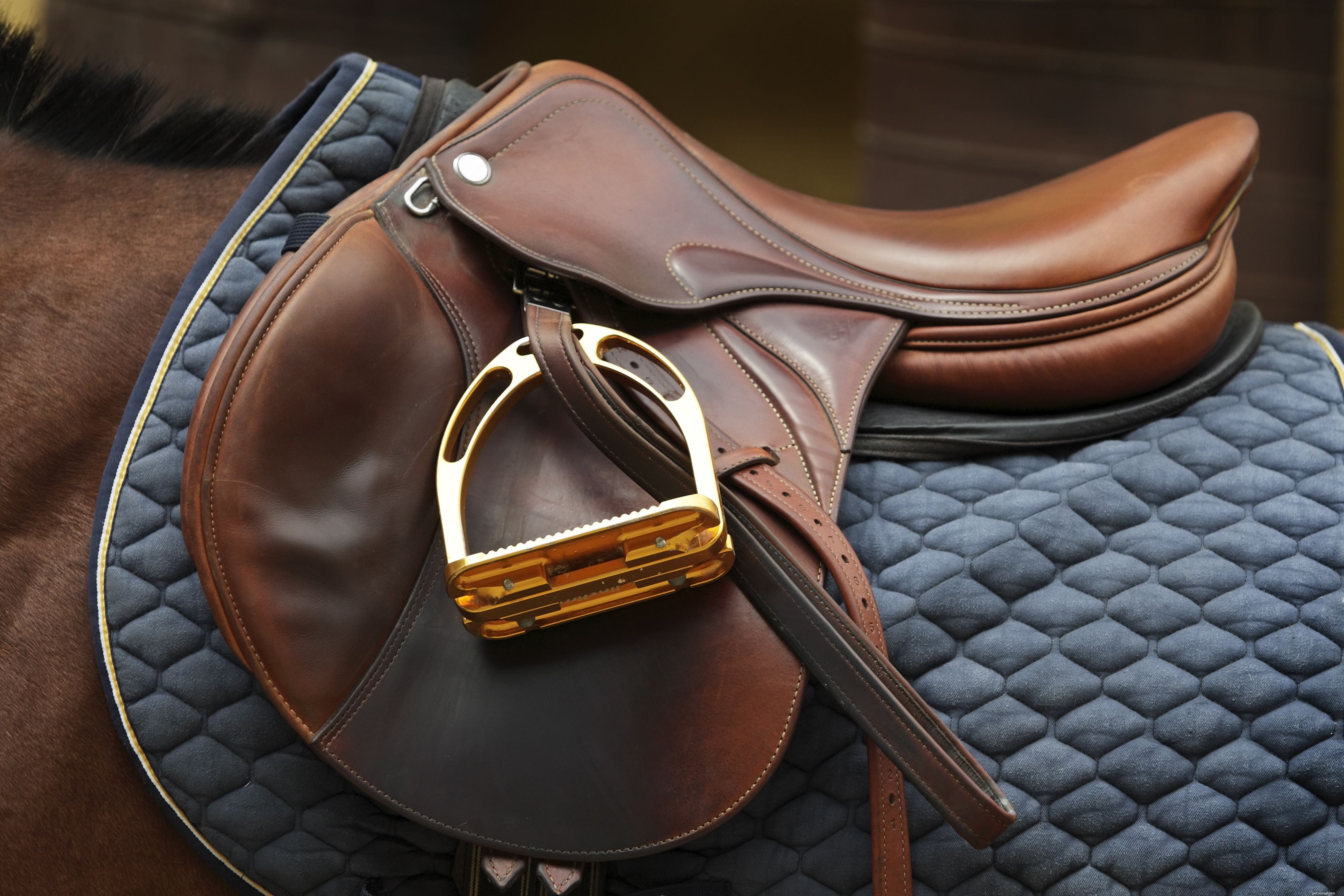 English vs Western Riding: Key Differences Explained
