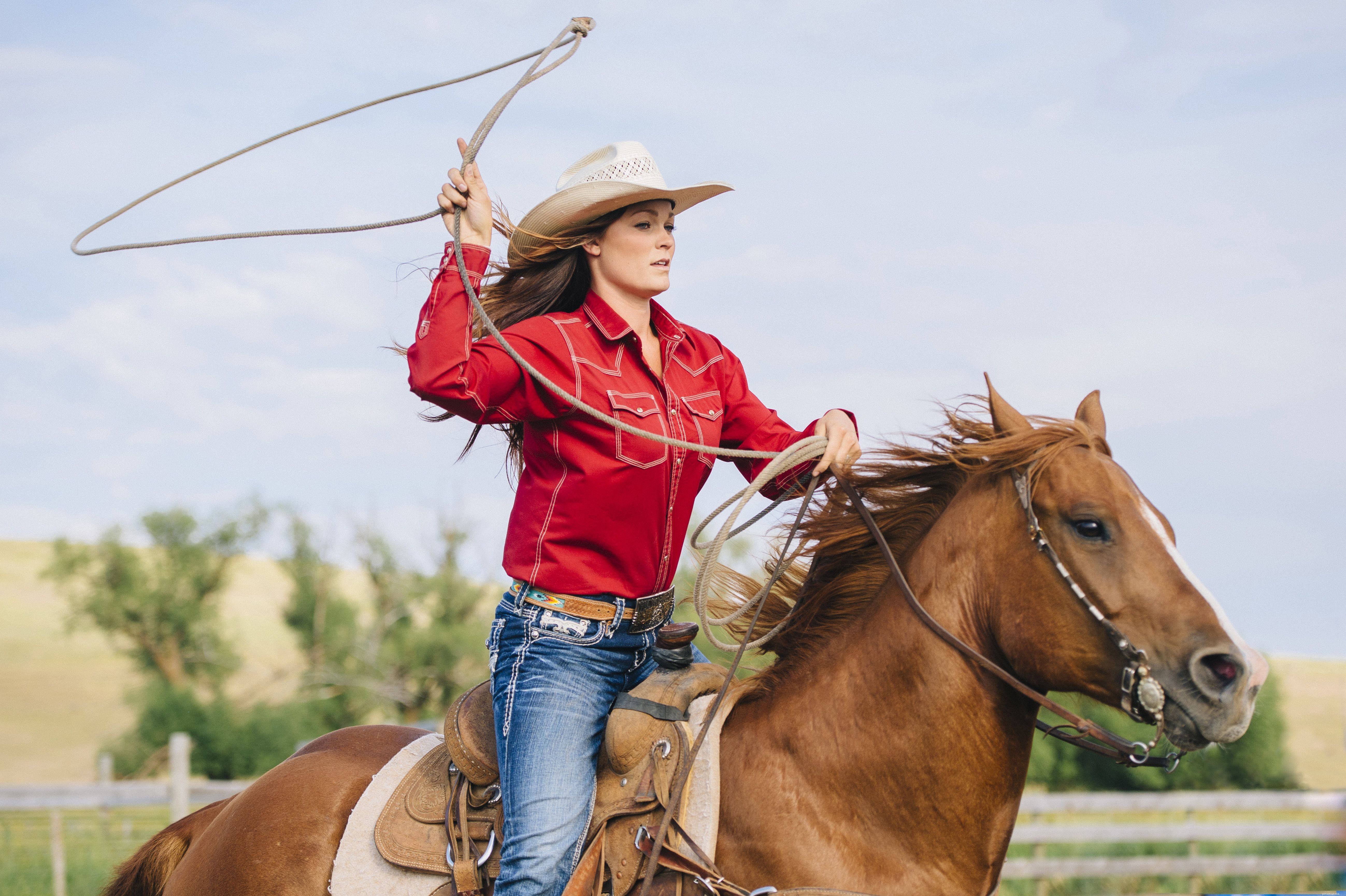 English vs Western Riding: Key Differences Explained
