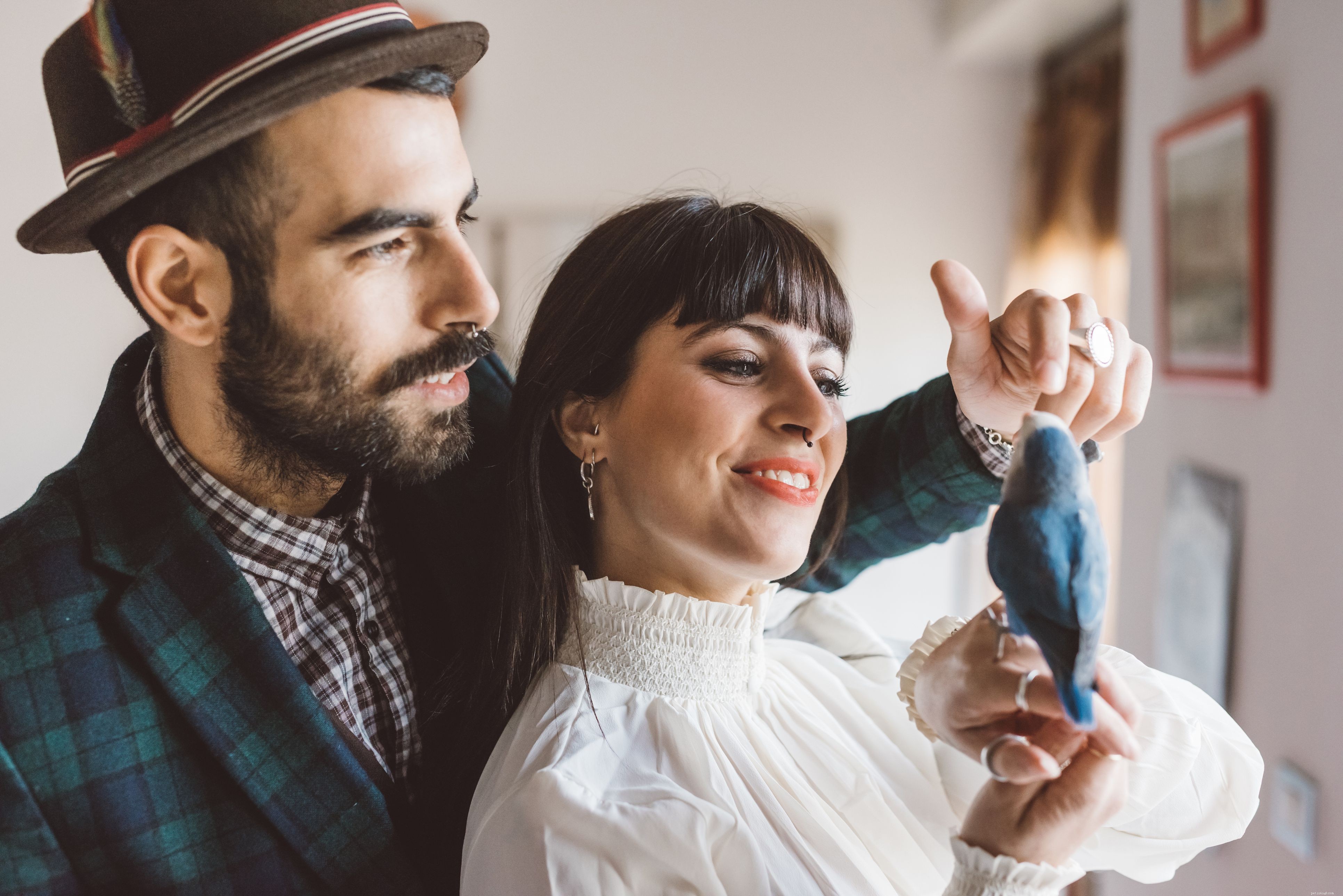 Parakeets vs Parrots: What You Need to Know