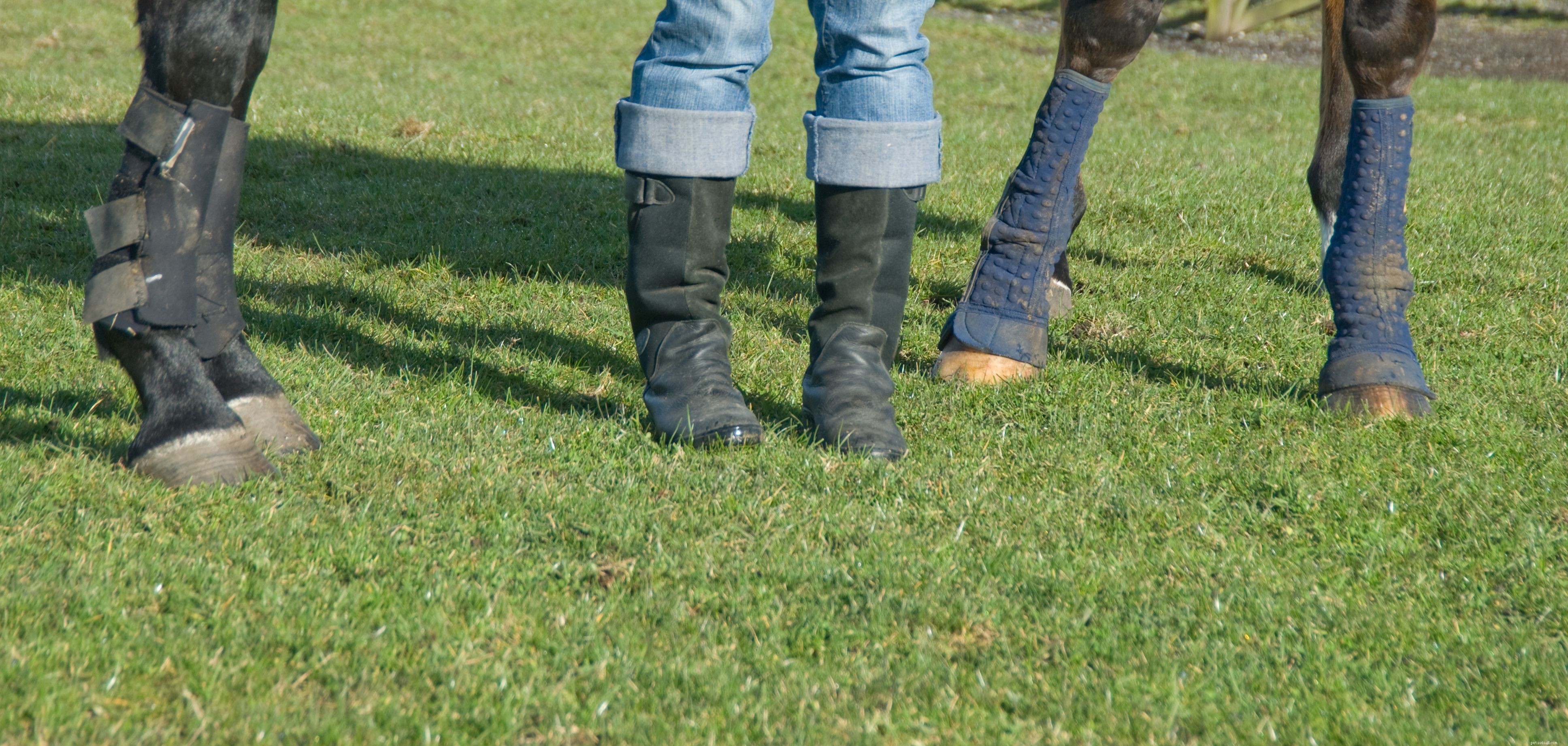 Essential Protective Leg Boots for Horse Performance and Safety