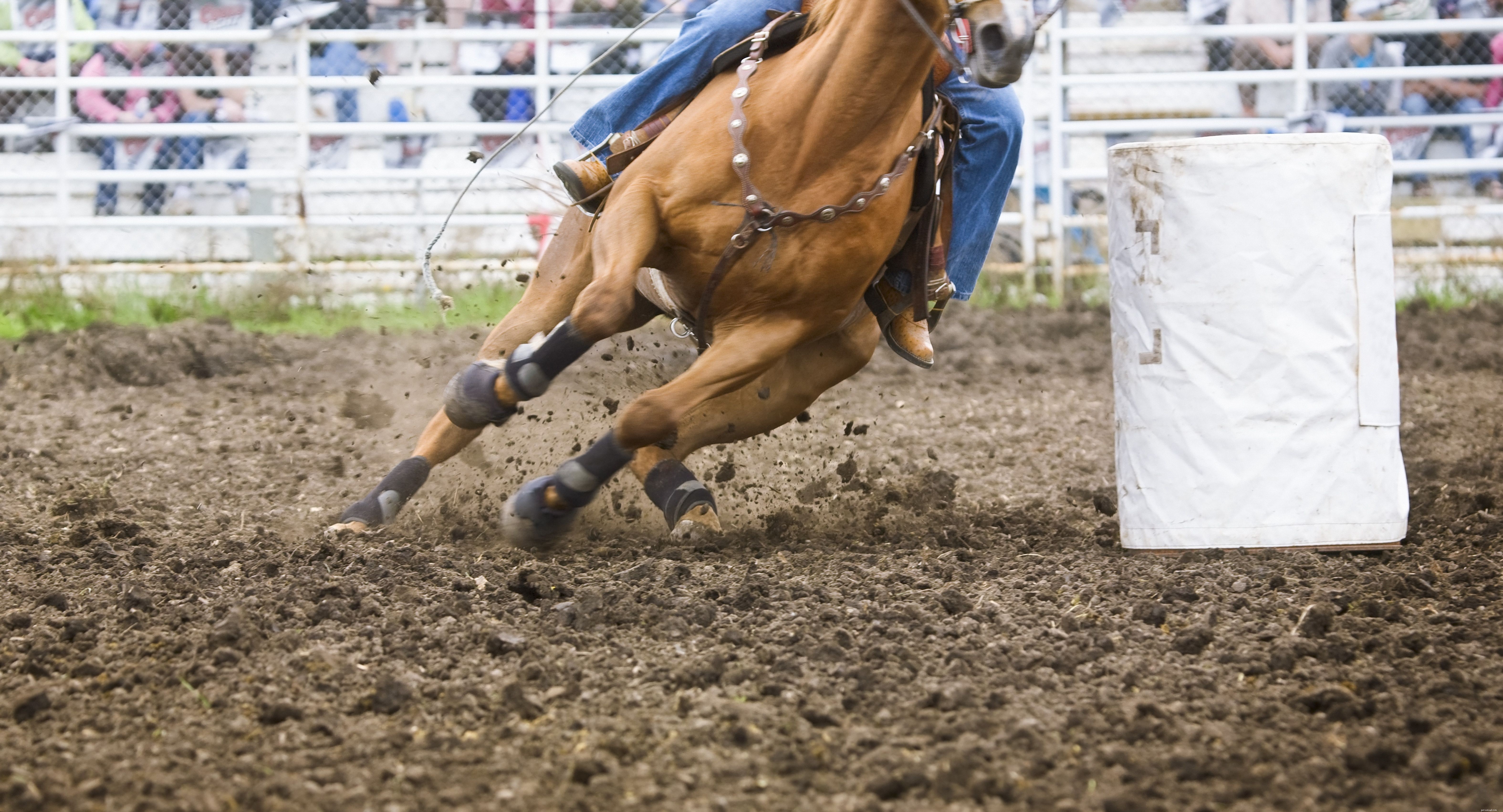 Essential Protective Leg Boots for Horse Performance and Safety