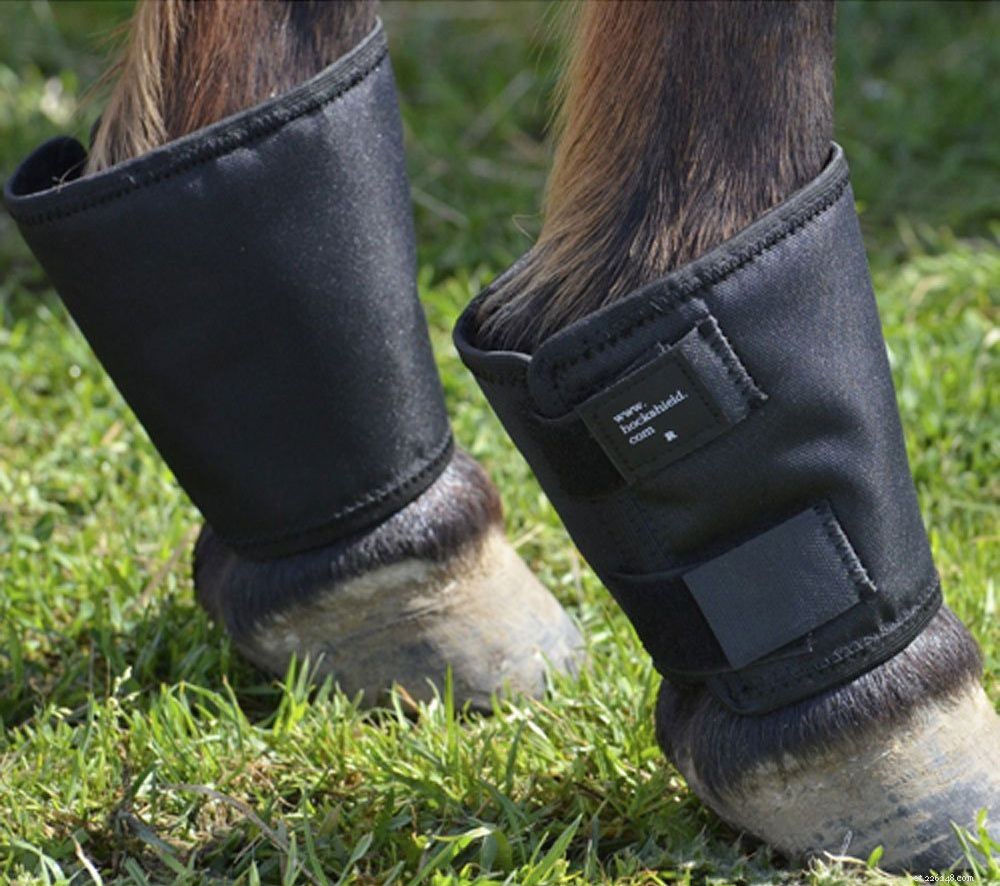Essential Protective Leg Boots for Horse Performance and Safety