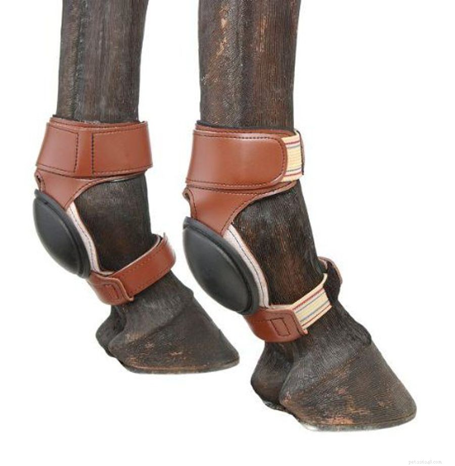 Essential Protective Leg Boots for Horse Performance and Safety