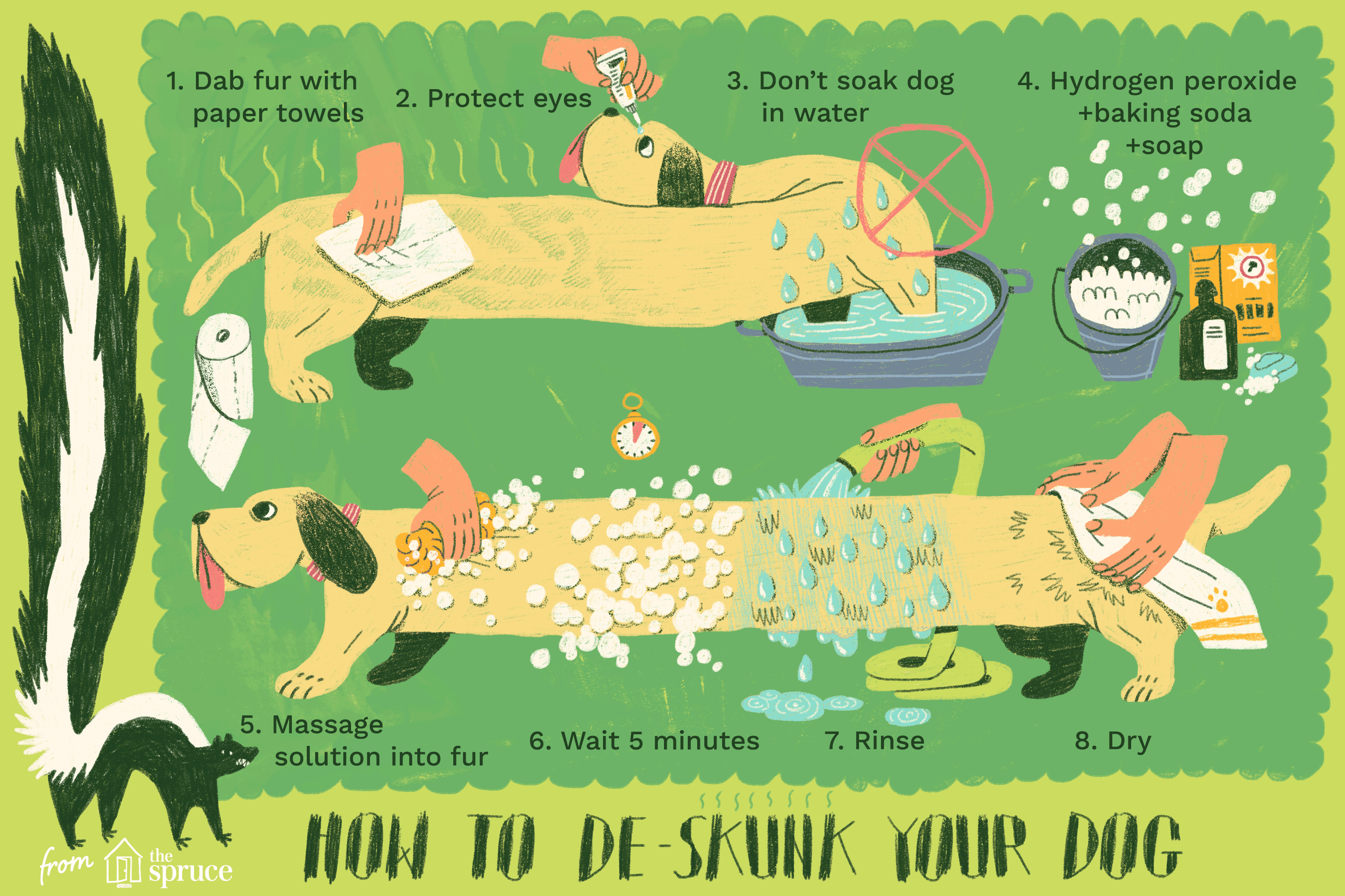 How to Safely Eliminate Skunk Smell from Your Dog