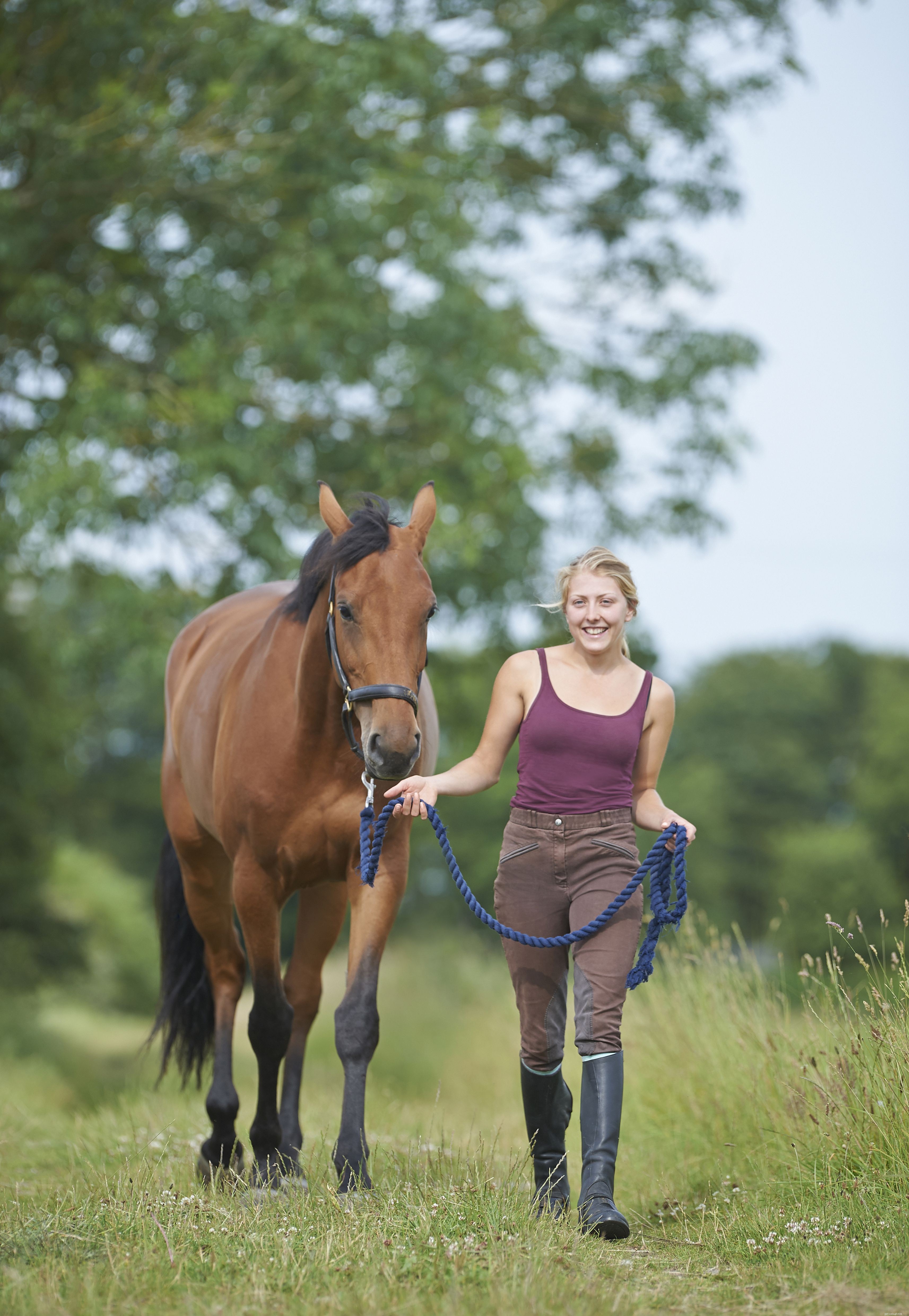 Building a Strong Bond With Your New Horse: Expert Tips