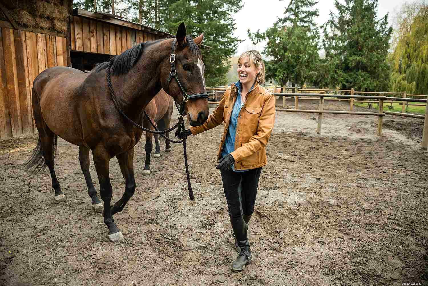 Building a Strong Bond With Your New Horse: Expert Tips