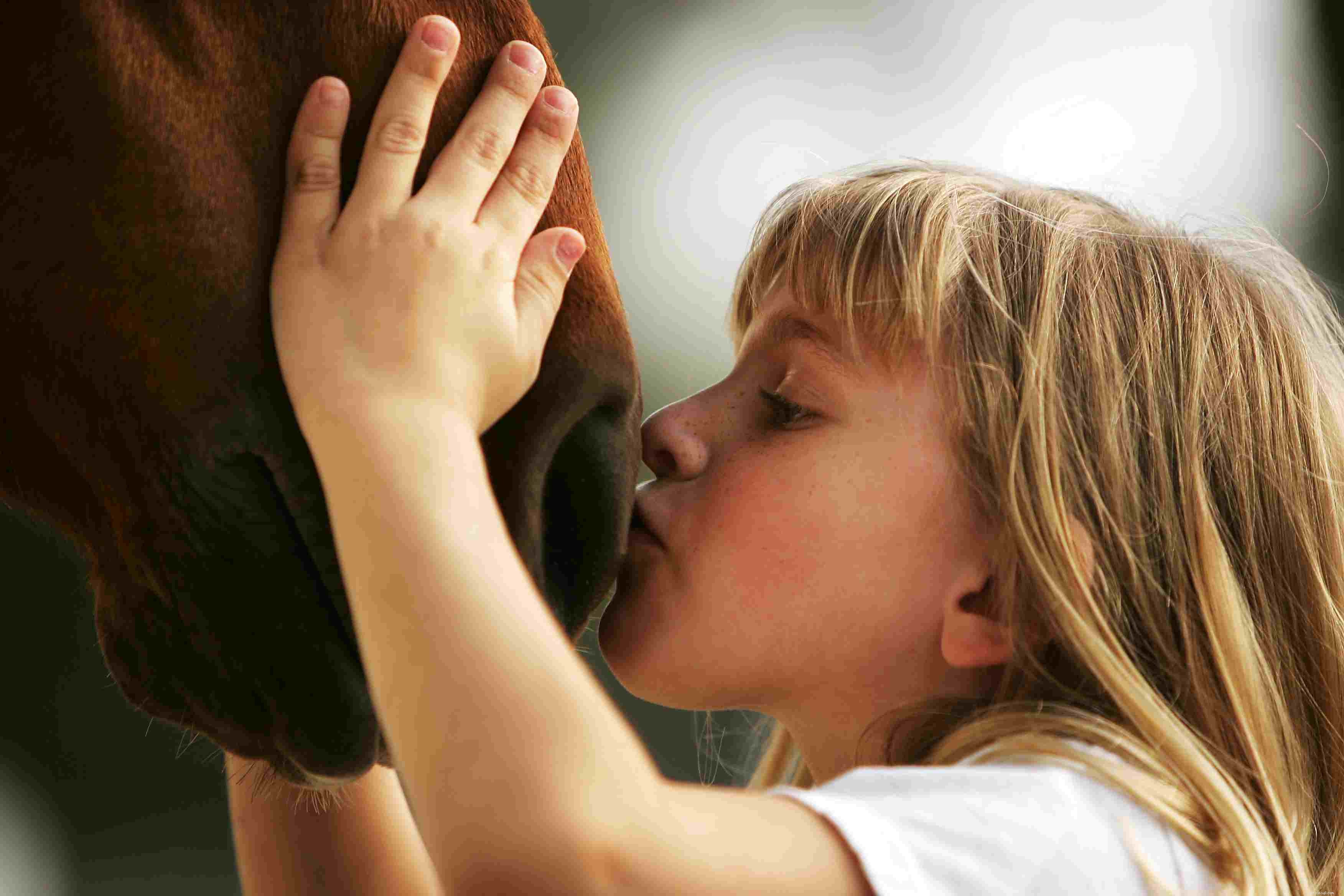 Building a Strong Bond With Your New Horse: Expert Tips