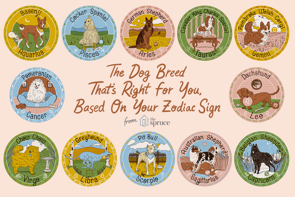 Discover Your Ideal Dog Breed Based on Your Zodiac Sign