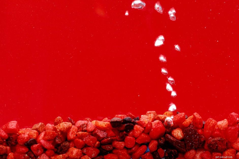 Pro Guide: Clean Substrate & Live Rock to Eliminate Nitrates & Algae