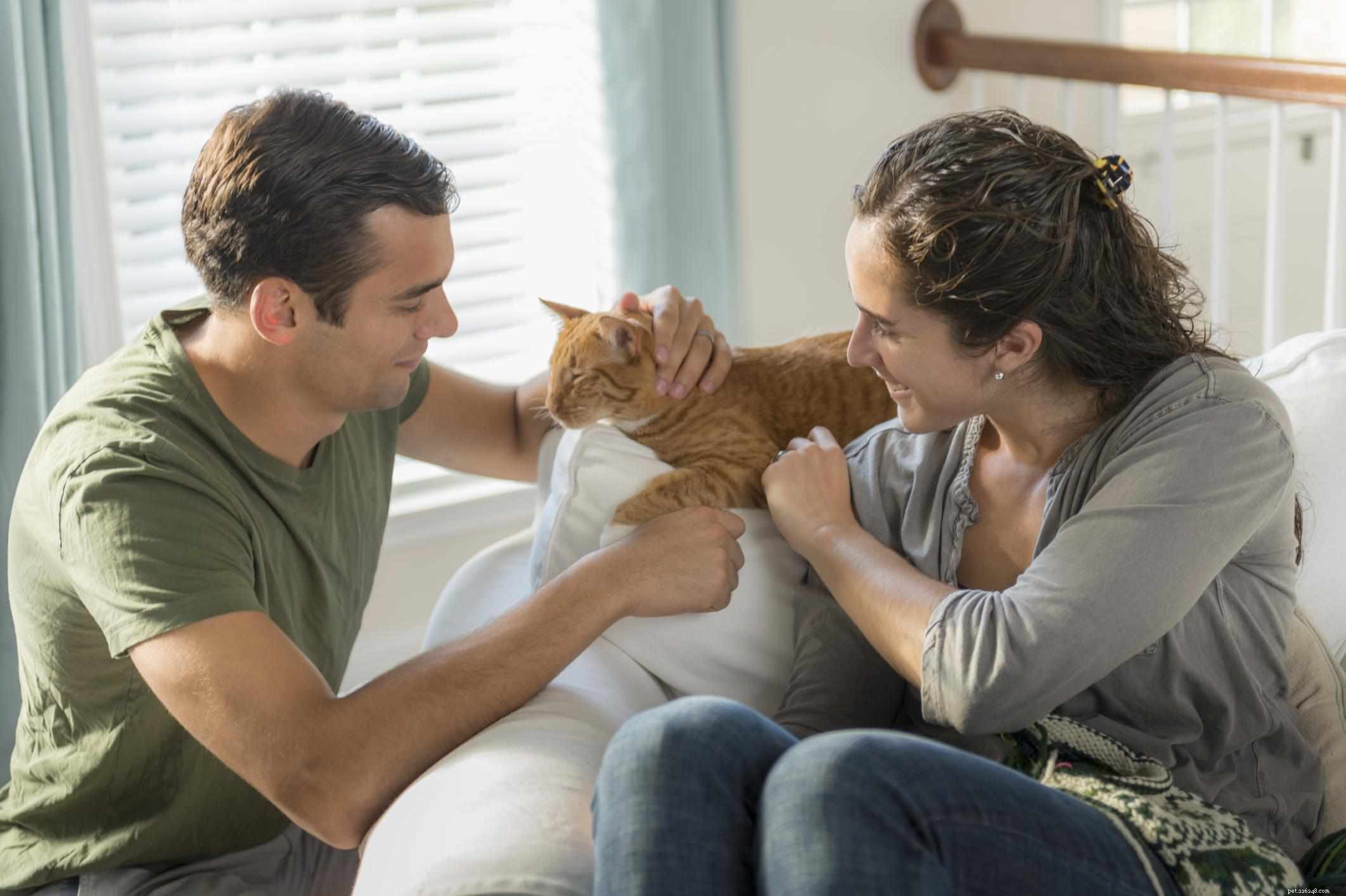 Raising Your First Cat: A Comprehensive Guide to Care & Happiness