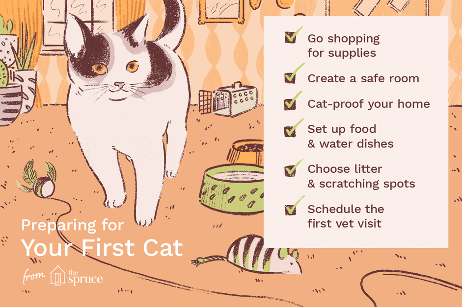 Raising Your First Cat: A Comprehensive Guide to Care & Happiness