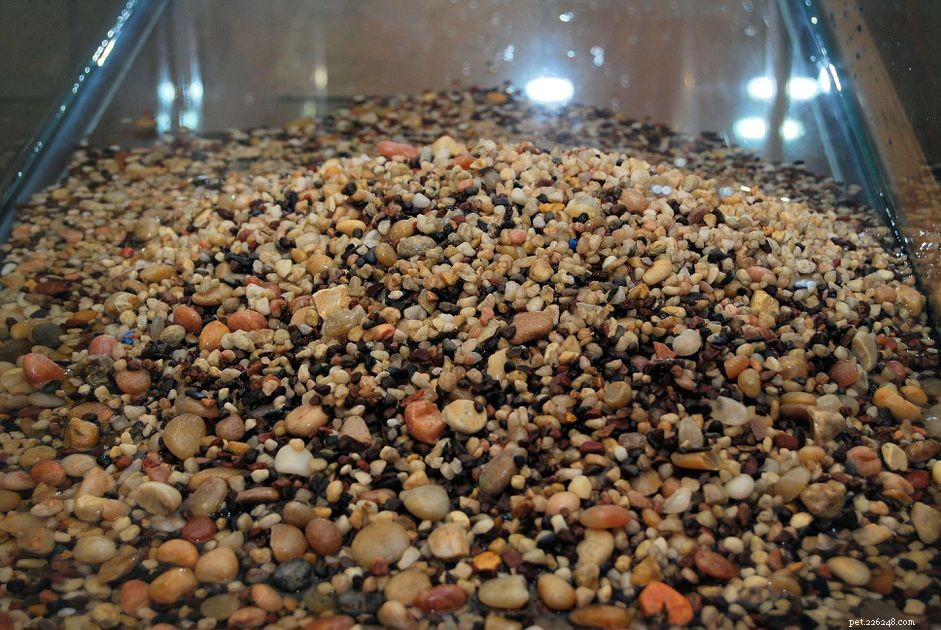 Choosing the Ideal Substrate for Thriving Live Aquatic Plants