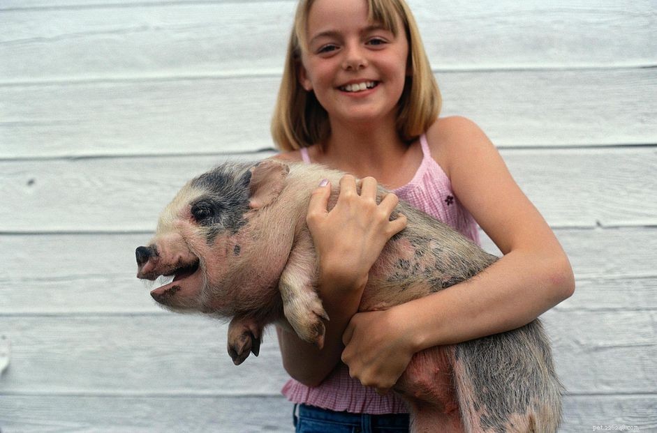 Expert‑Approved Exotic Pet Names: Creative & Memorable Ideas