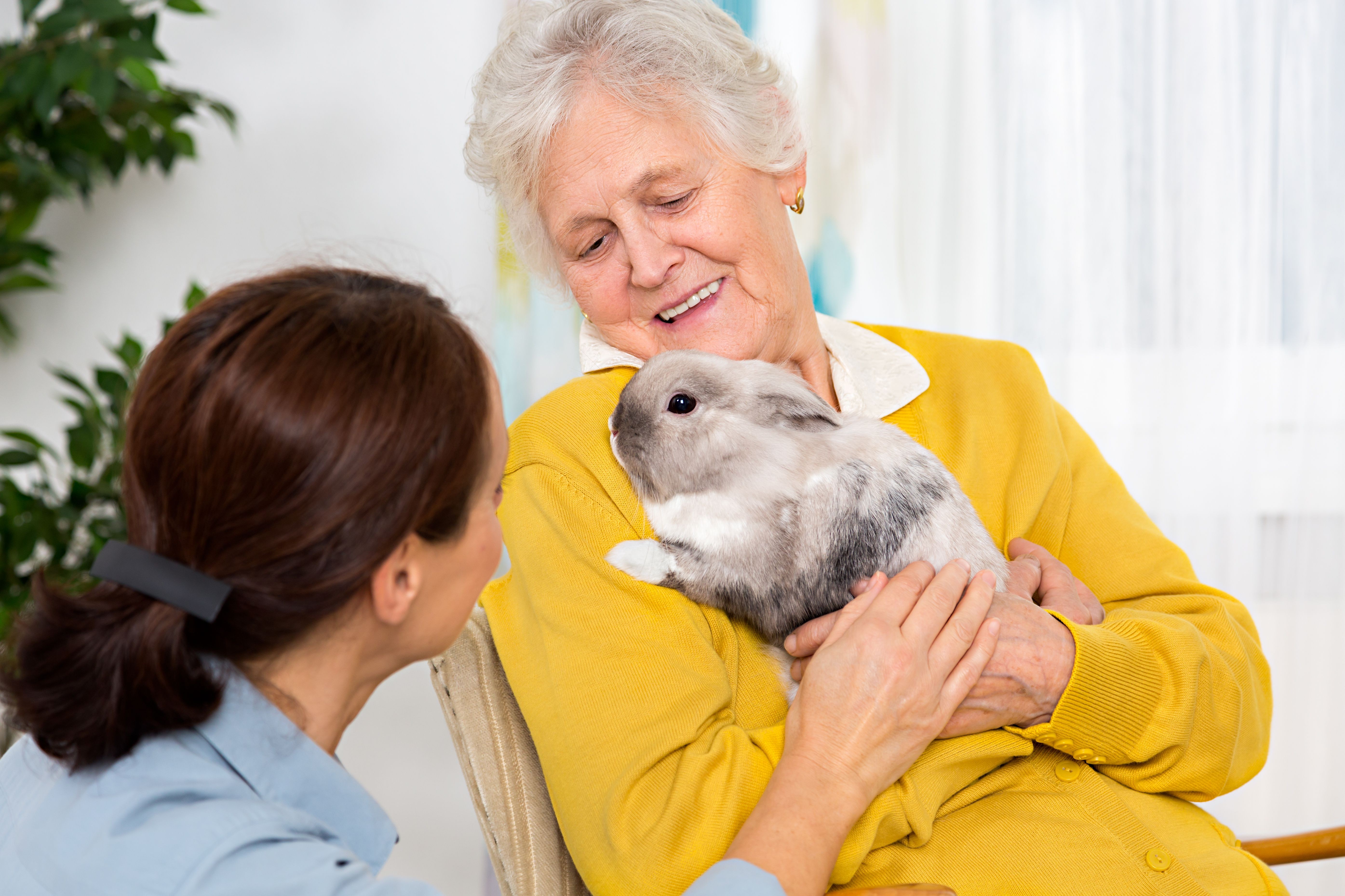 Top Therapy Animals: Comfort & Care for All