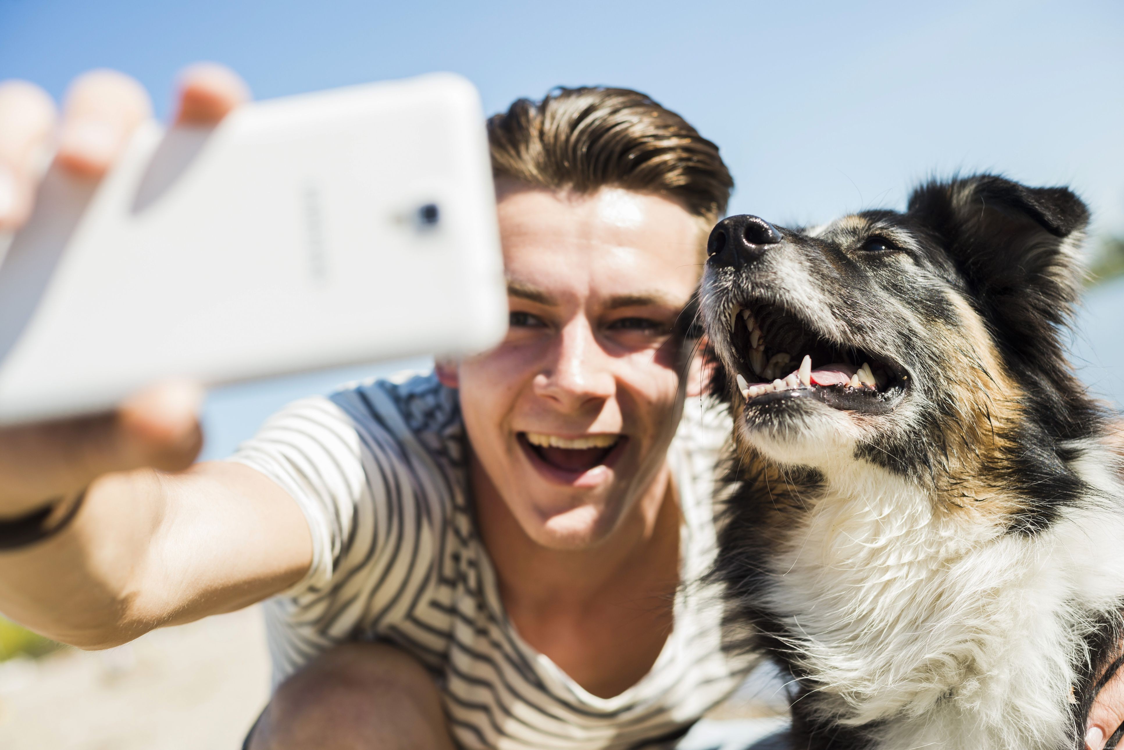 Essential Guide for First‑Time Dog Owners: Tips & Advice